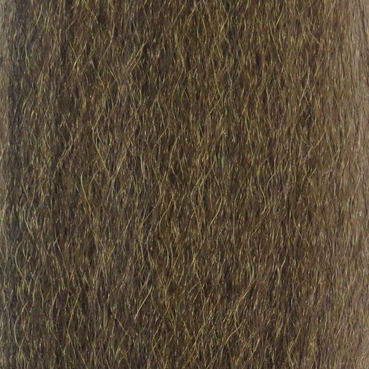 Bronze Back