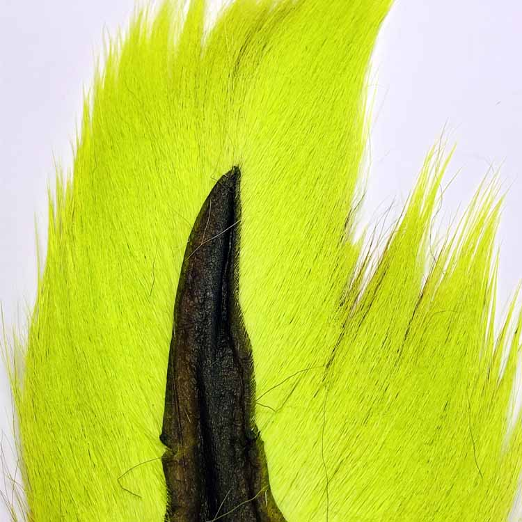 Chartreuse