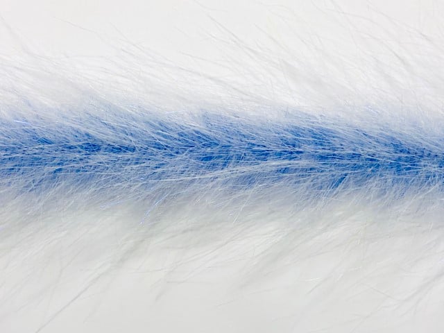 White / Royal Blue