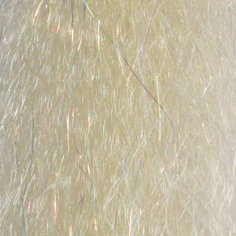 Shrimp