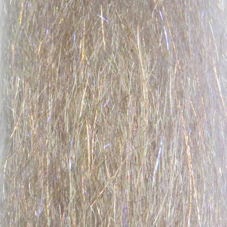 Anchovy