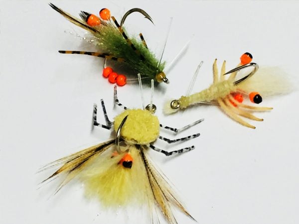 Shrimp & Crab Eye - Image 4