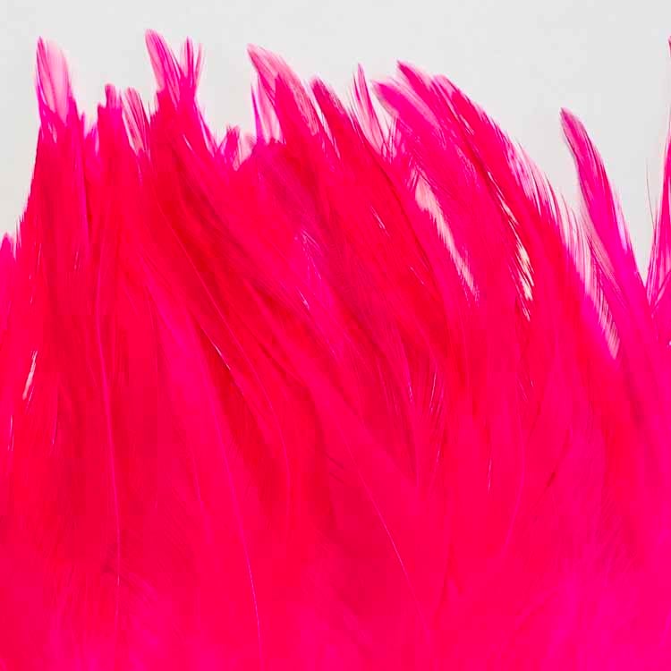 Fluorescent Pink