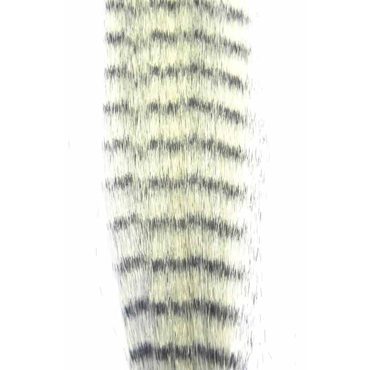 Shrimp