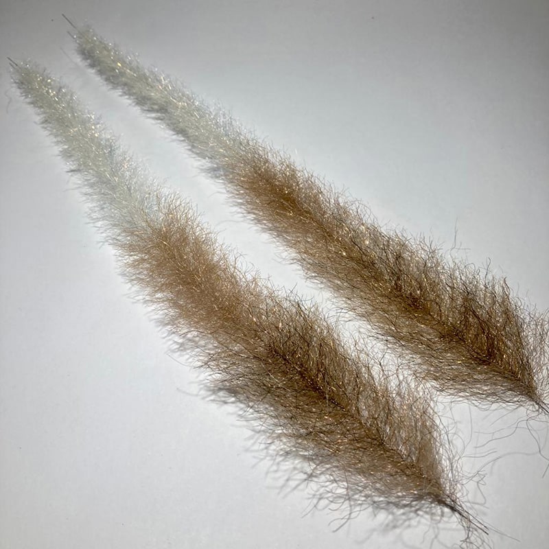 Mangrove Minnow