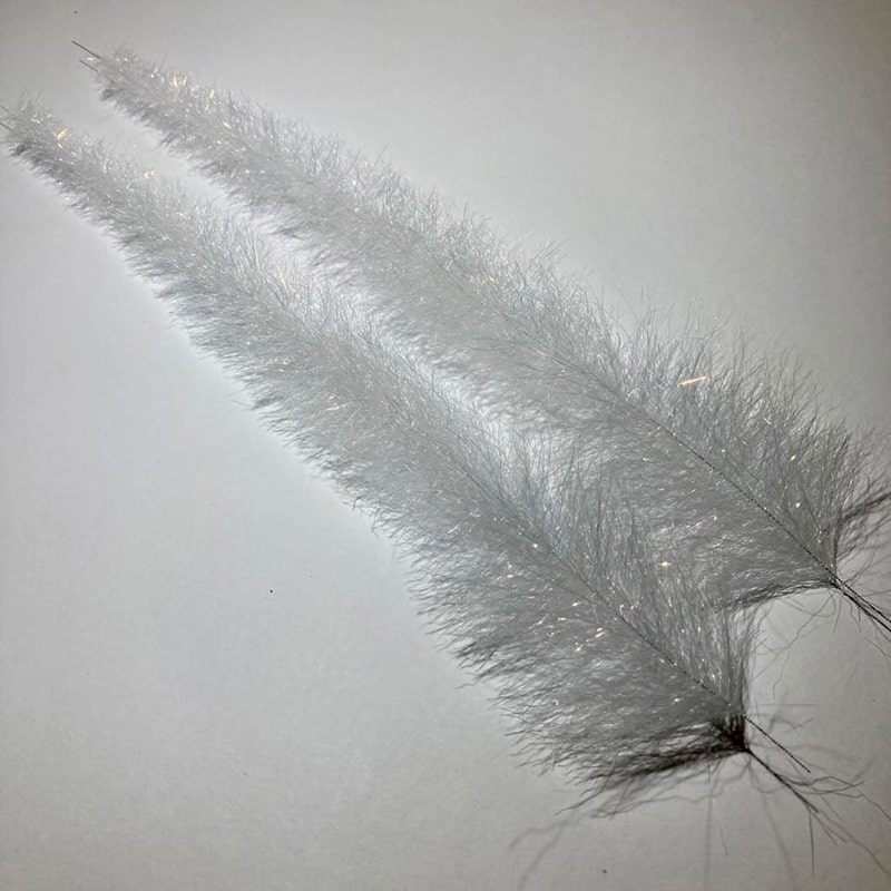Bay Anchovy