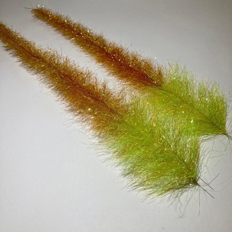 Peacock Bass
