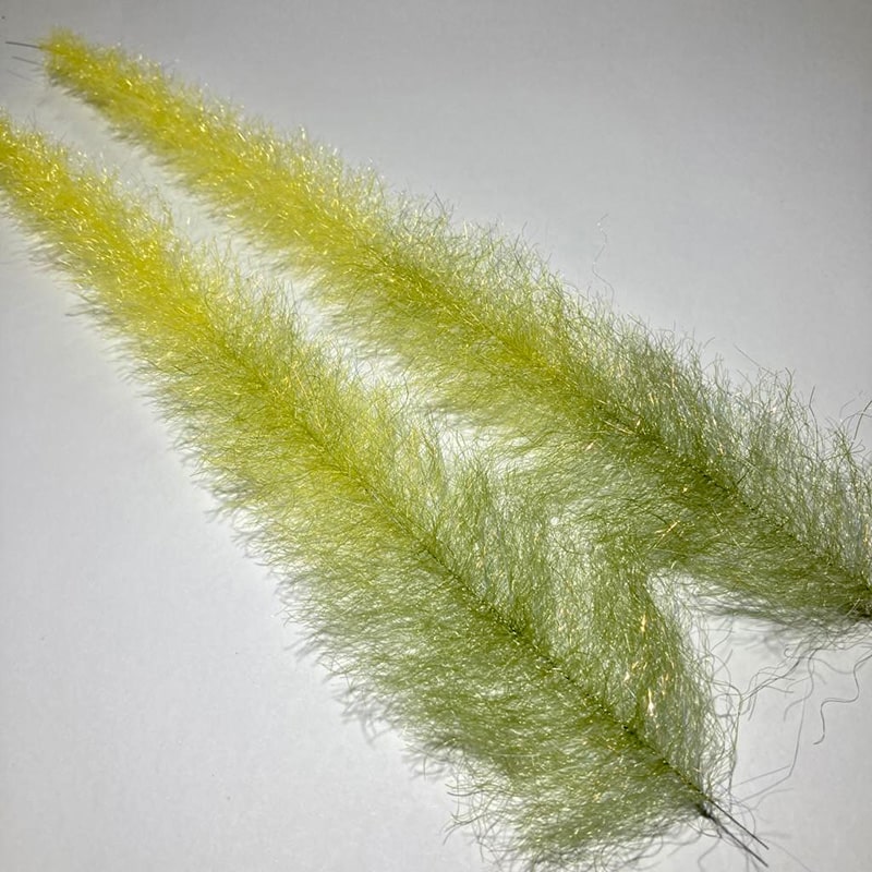 Yellow Perch