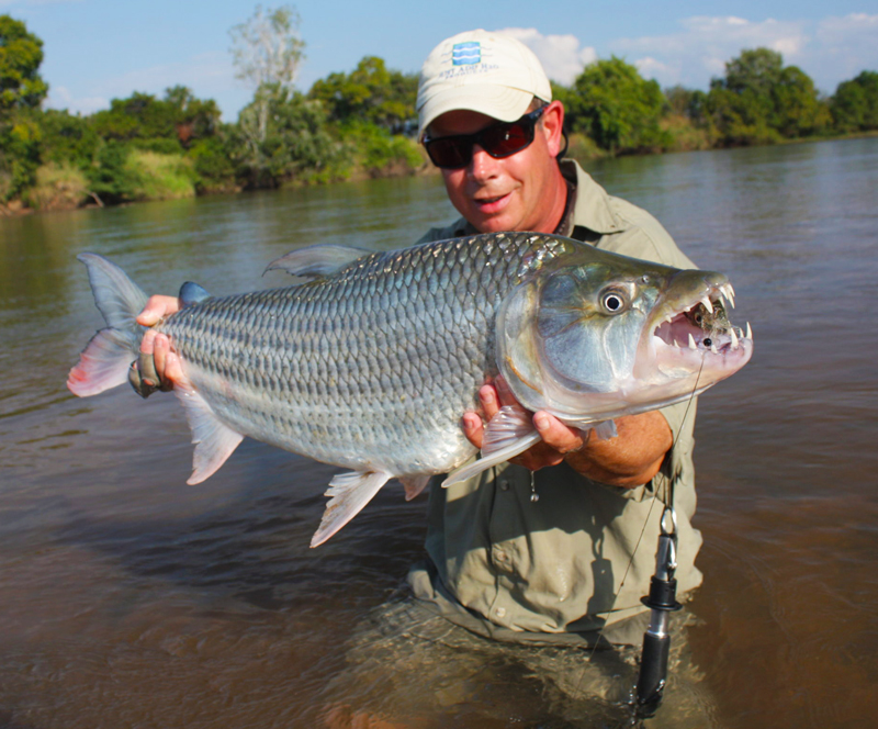 Cliff Rochester Holding Tigerfish