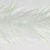 White & Chartreuse