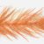 Redfish & Hot Orange