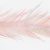 Prawn Pink & Fluoro Pink