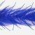Dark Purple & Blue, Black Bar