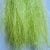 Shaded Chartreuse