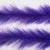Bleeding Purple