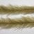 Glass Minnow