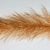 Redfish