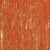 Golden Hot Orange